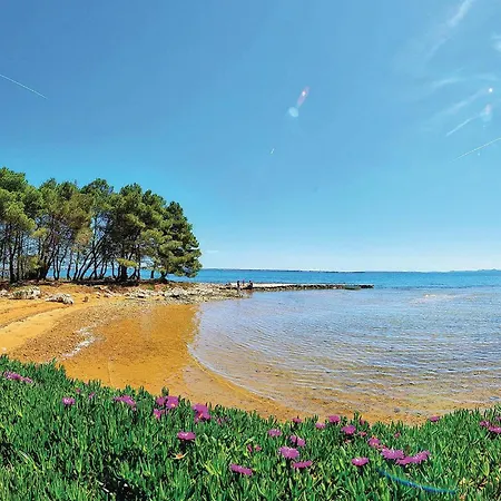 Lovely In With Wifi Holiday home